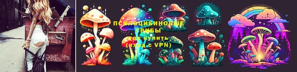 мдпв Верхний Тагил