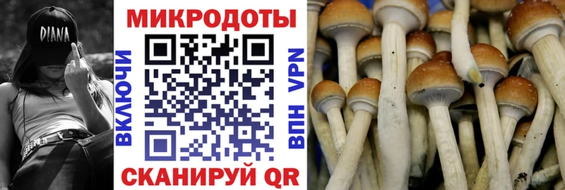 купить наркотик  Кандалакша  Галлюциногенные грибы Magic Shrooms 